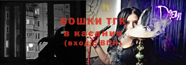 мдпв Бородино