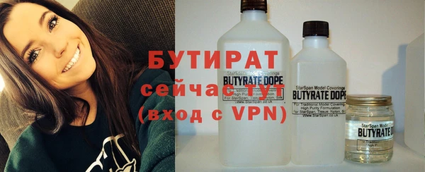 мдпв Бородино