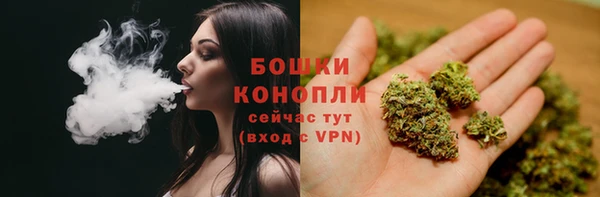 ГАЛЛЮЦИНОГЕННЫЕ ГРИБЫ Верея