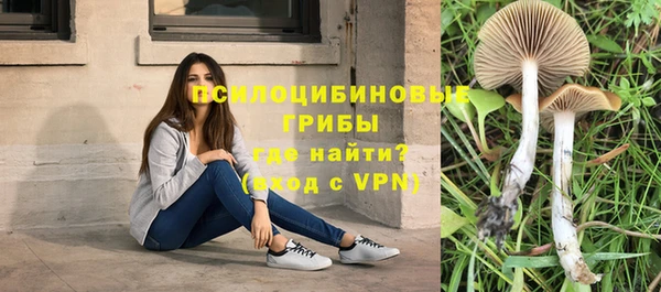 MDMA Premium VHQ Верхнеуральск
