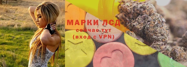 ГАЛЛЮЦИНОГЕННЫЕ ГРИБЫ Верея