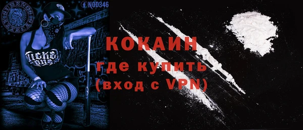 ГАЛЛЮЦИНОГЕННЫЕ ГРИБЫ Верея
