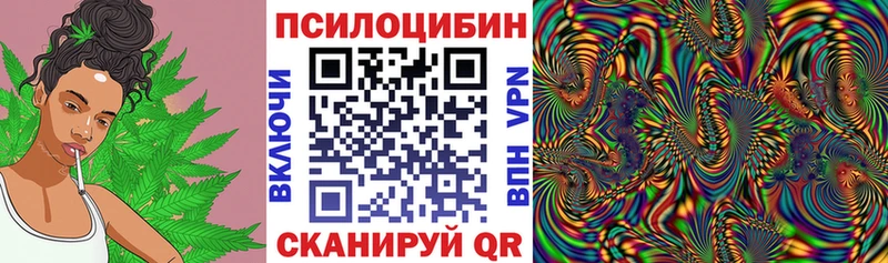 kraken как войти Сосногорск Псилоцибиновые грибы ЛСД